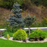 Home Decor and Garden