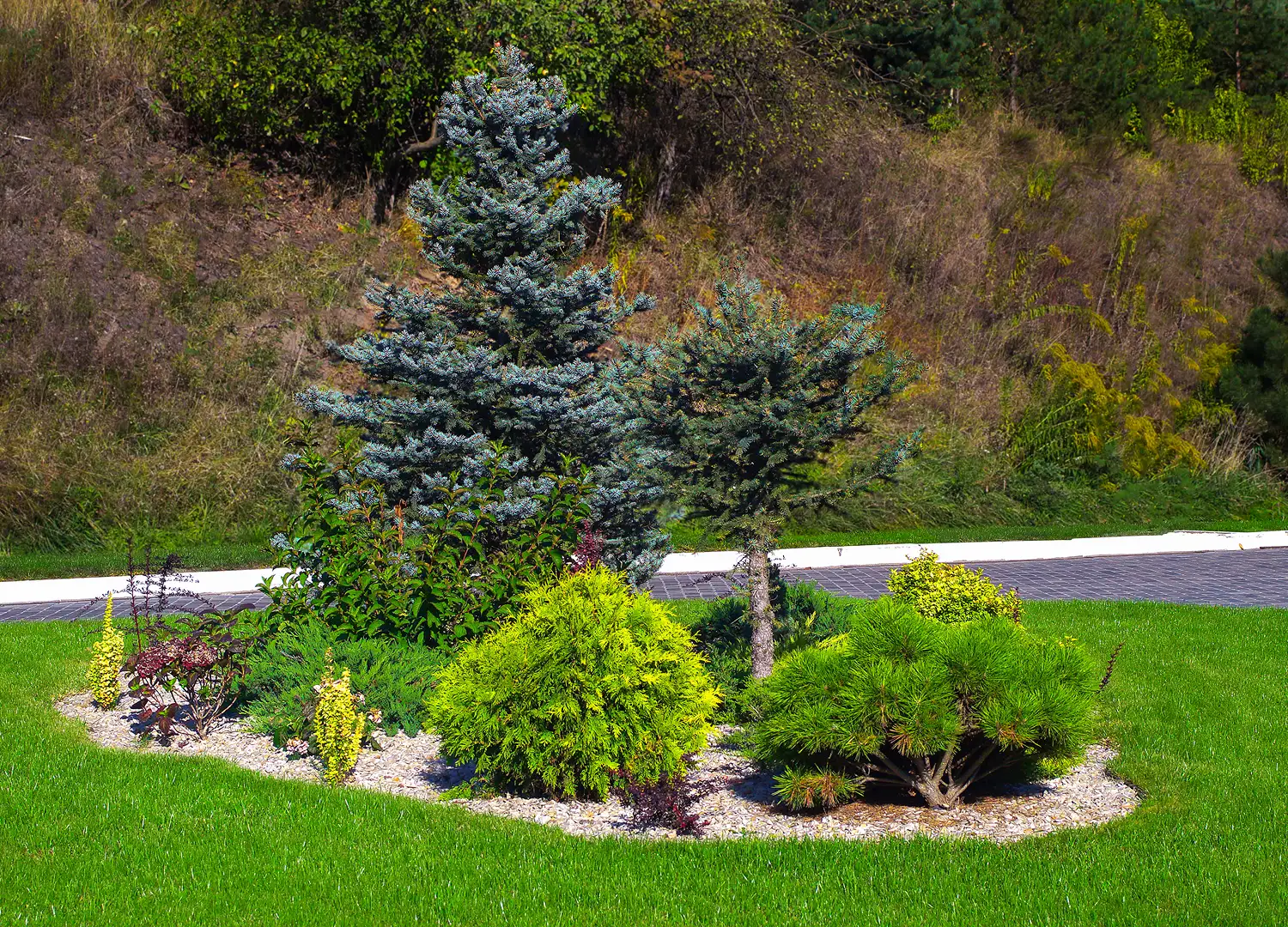 Home Decor and Garden