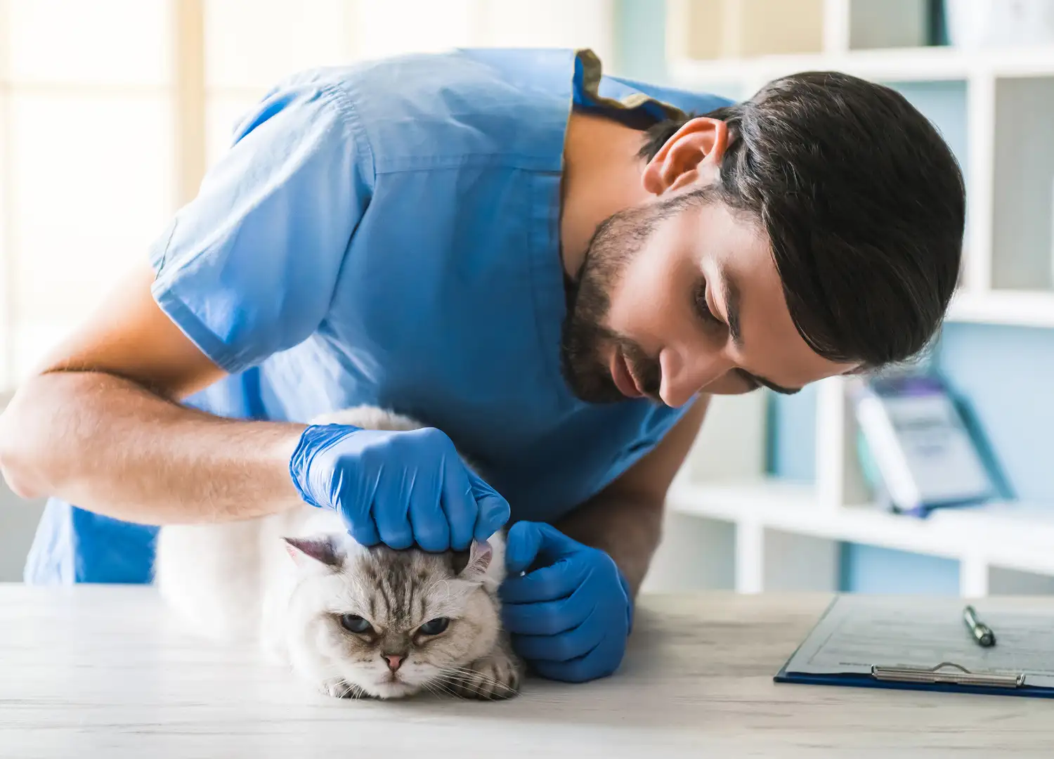 Pets and Pet Care
