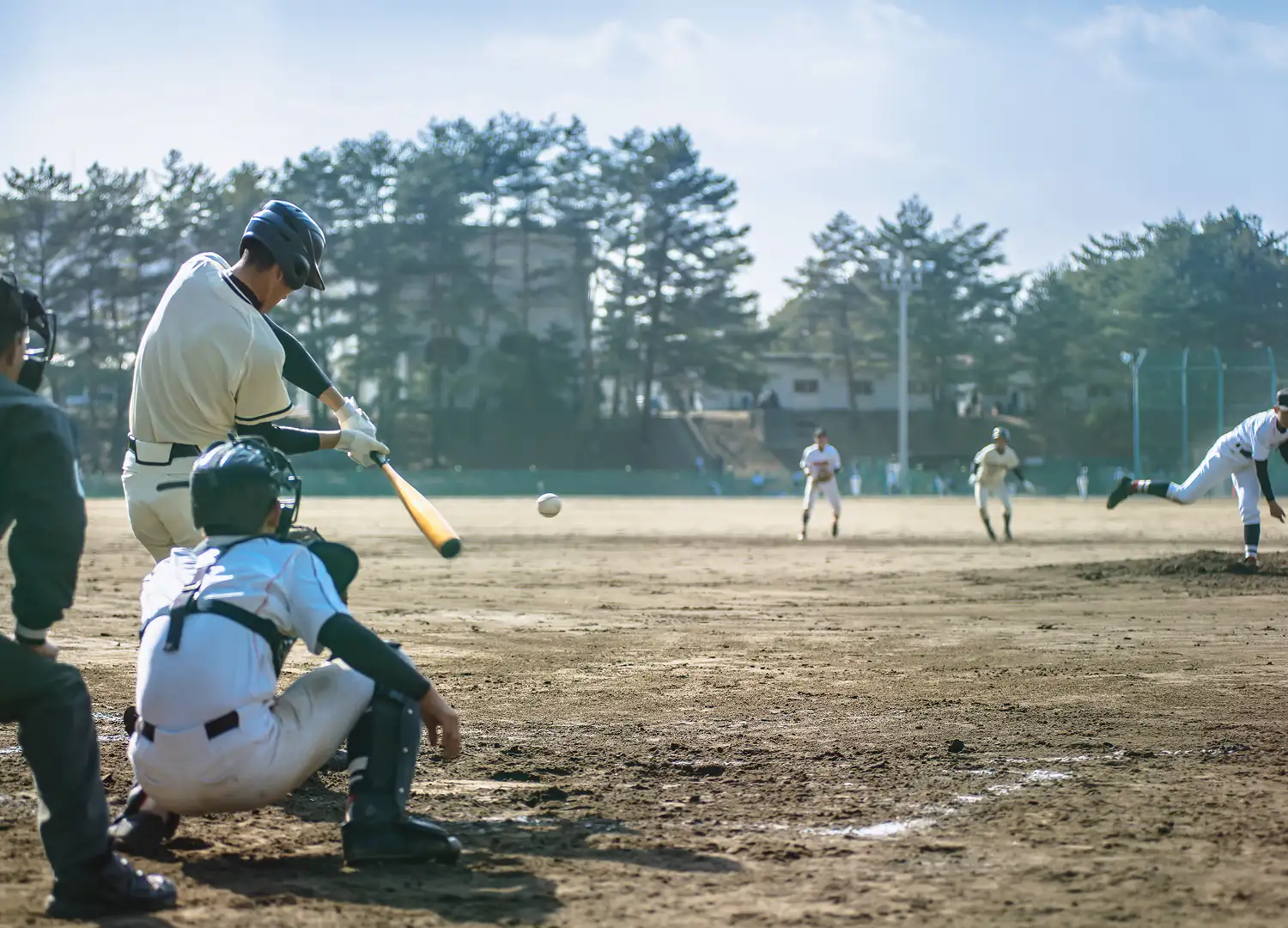 Sports and Recreation